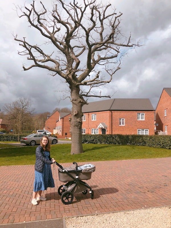 Bugaboo Fox 2 - pushchair out for a walk with new baby
